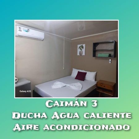 Apartamentos Caiman 3 トルトゥゲーロ エクステリア 写真