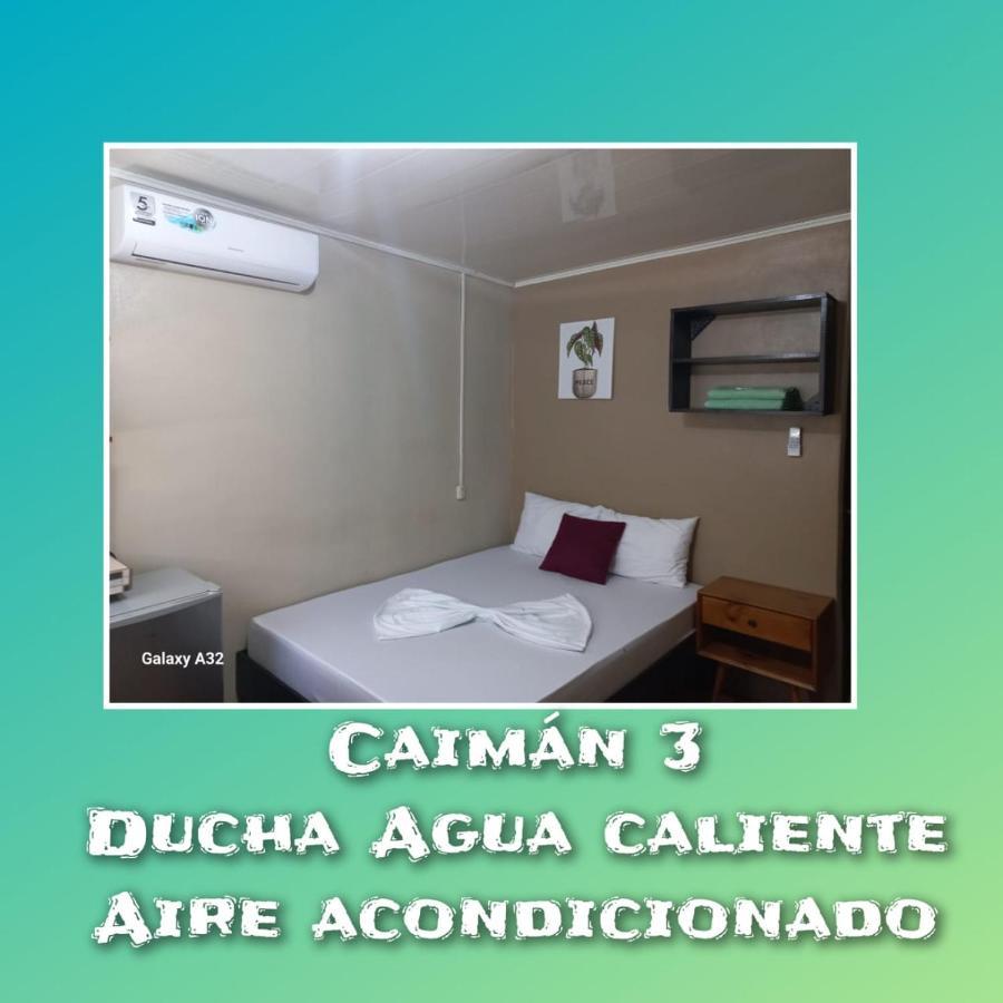 Apartamentos Caiman 3 トルトゥゲーロ エクステリア 写真